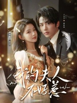 我的夫人不好惹，你好，我的旅长夫人(全集)