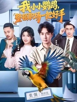 我小小鹦鹉，整顿职场一把好手(全集)