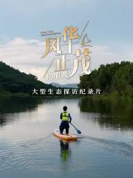 风华正茂 第三季